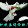 **梦**的头像