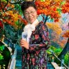 长白松的头像