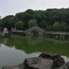 施为福的头像