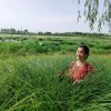 清秋的头像