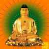 阿弥陀佛的头像