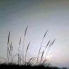 平安是福。的头像