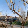 容以海的头像