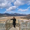 王海燕(拒聊)的头像