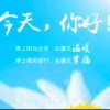人生若只如初见的头像