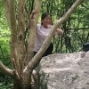 四季花的头像