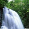 青山绿水的头像