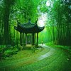 友情为重的头像