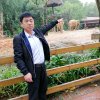 平安无忧的头像