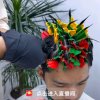 知心的头像