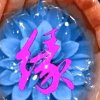 花好月圆的头像