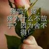 拼搏人生的头像
