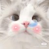 喂 ～谁家小朋友忘接回家啦的头像