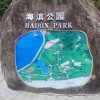 糊涂与你的头像