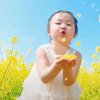 寒竹的头像