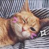 Hi(^_^)的头像