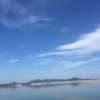 良春 因工作繁忙 (暂停)的头像