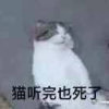 Mr.C的头像