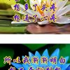 看破红尘的头像