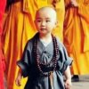 仙客来的头像