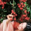 小苹果的头像