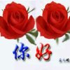 丽华石膏线的头像