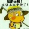 别来无恙的头像