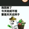 全民删除《退》的头像