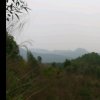 陈媚的头像