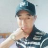 华帝松树长青的头像