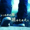 南城旧梦的头像