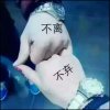 小可爱的头像