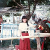 四小姐的头像