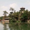 良辰美景的头像