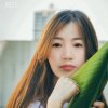 腊梅的头像