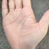 黑的头像