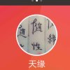 天缘的头像
