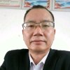 常青树的头像