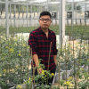 出门右走的头像