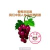 葡萄园的头像