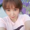 จุ๊บ语梦จุ๊บ忙不互动的头像