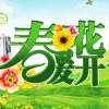 春之风春暖花开的头像