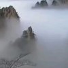 若秋风的头像
