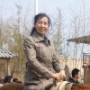 吉祥如意的头像
