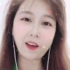 春天里的芳华的头像