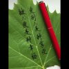 珏.利民的头像