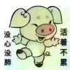 方金宝的头像