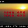 阳光的头像