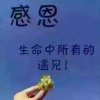 开心每一天的头像