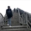 【音】新秀小阳的头像